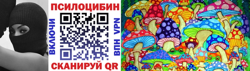 Галлюциногенные грибы Psilocybe  Старица 