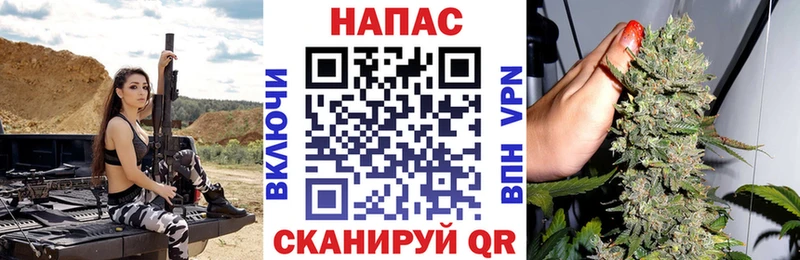 Бошки марихуана ГИДРОПОН  хочу наркоту  Старица 